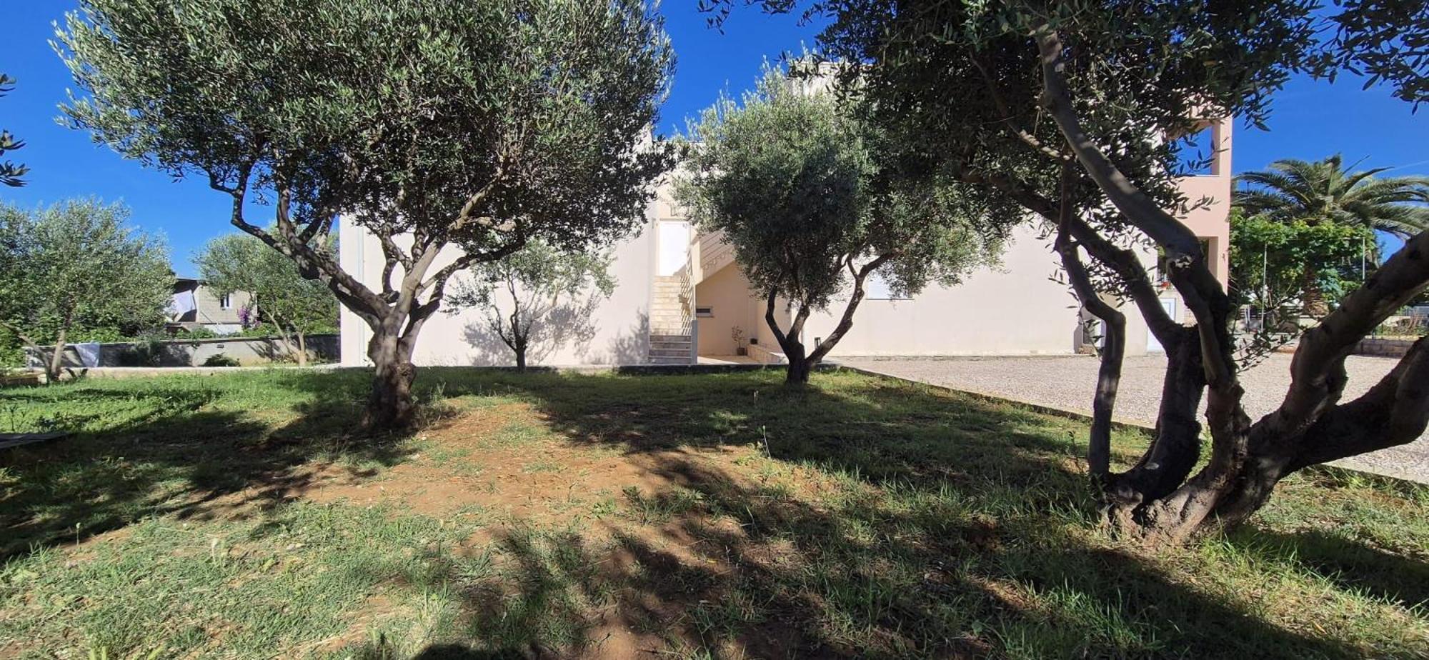 Ražanac Apartman Petar מראה חיצוני תמונה
